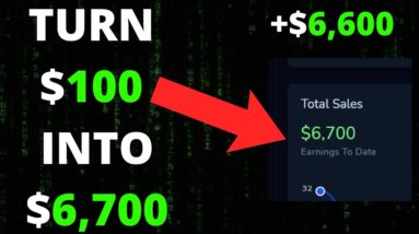 How I Flip 100 dollars Into $6,700 Dollars Online Fast - How To Flip 100 Dollars Quick