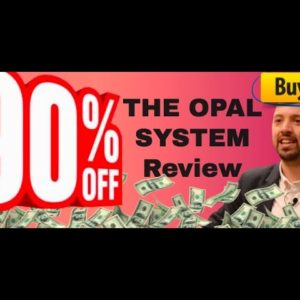 The Opal System review | INCOME PROOF that The Opal System works!